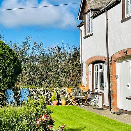 Honeysuckle Cottage Ilfracombe Exteriér fotografie