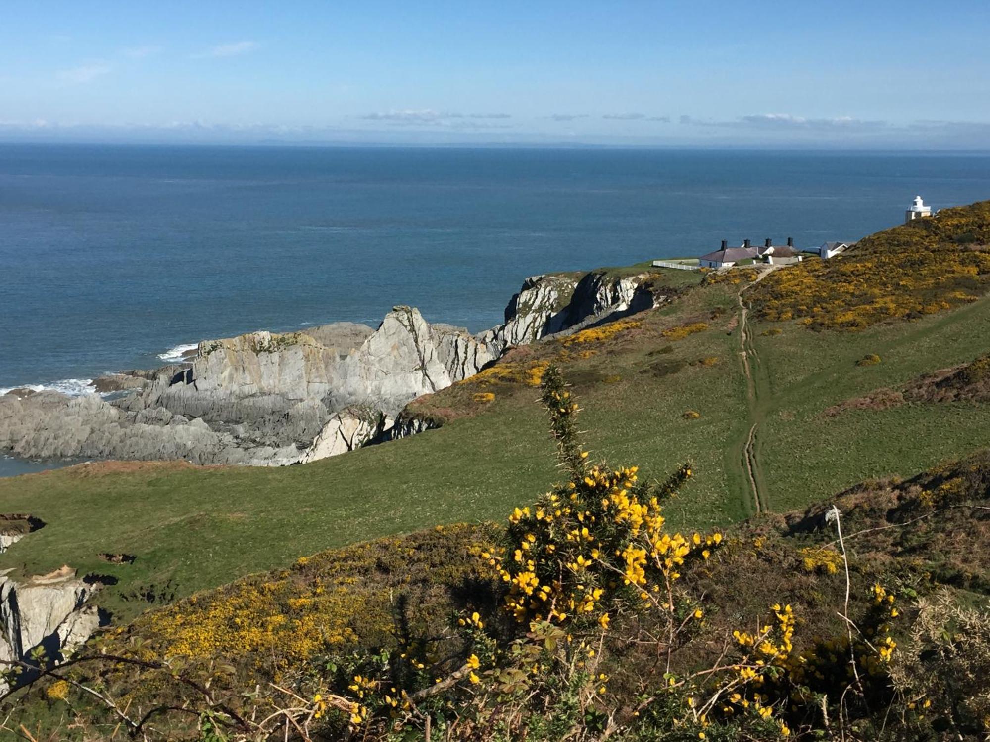 Honeysuckle Cottage Ilfracombe Exteriér fotografie